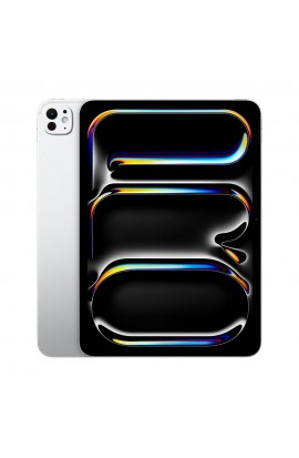 APPLE IPAD PRO 11" 256GB